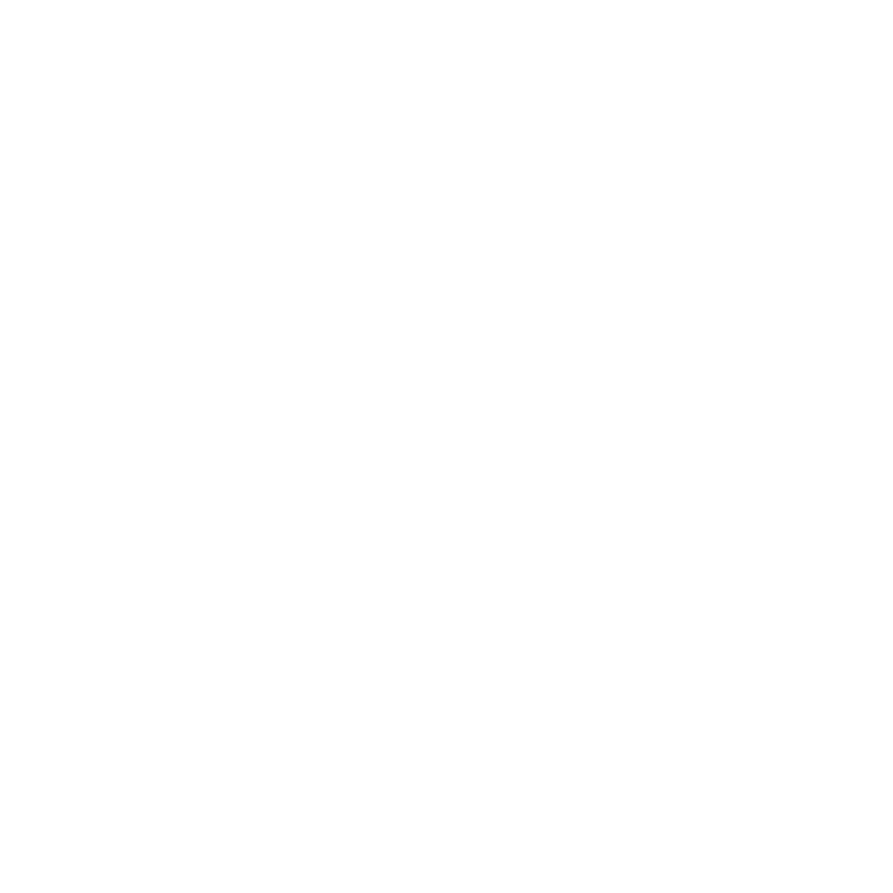 Logo white